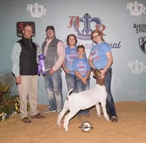 Meet your Posher, Tammy